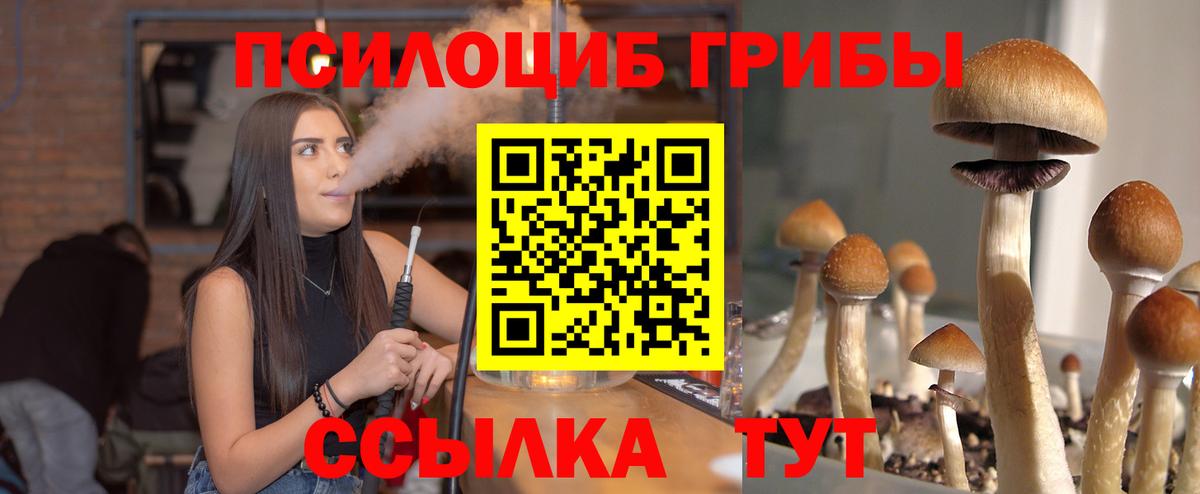 Казань  Псилоцибиновые грибы мухоморы  Вход с VPN 